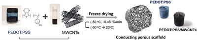 3D Hybrid Scaffolds Based on PEDOT:PSS/MWCNT Composites